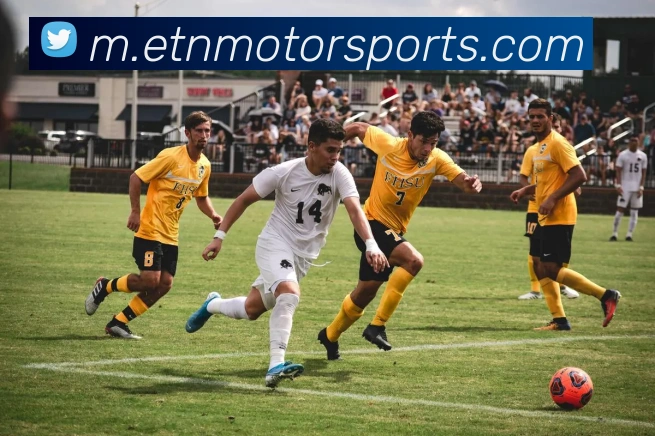 企业概况
